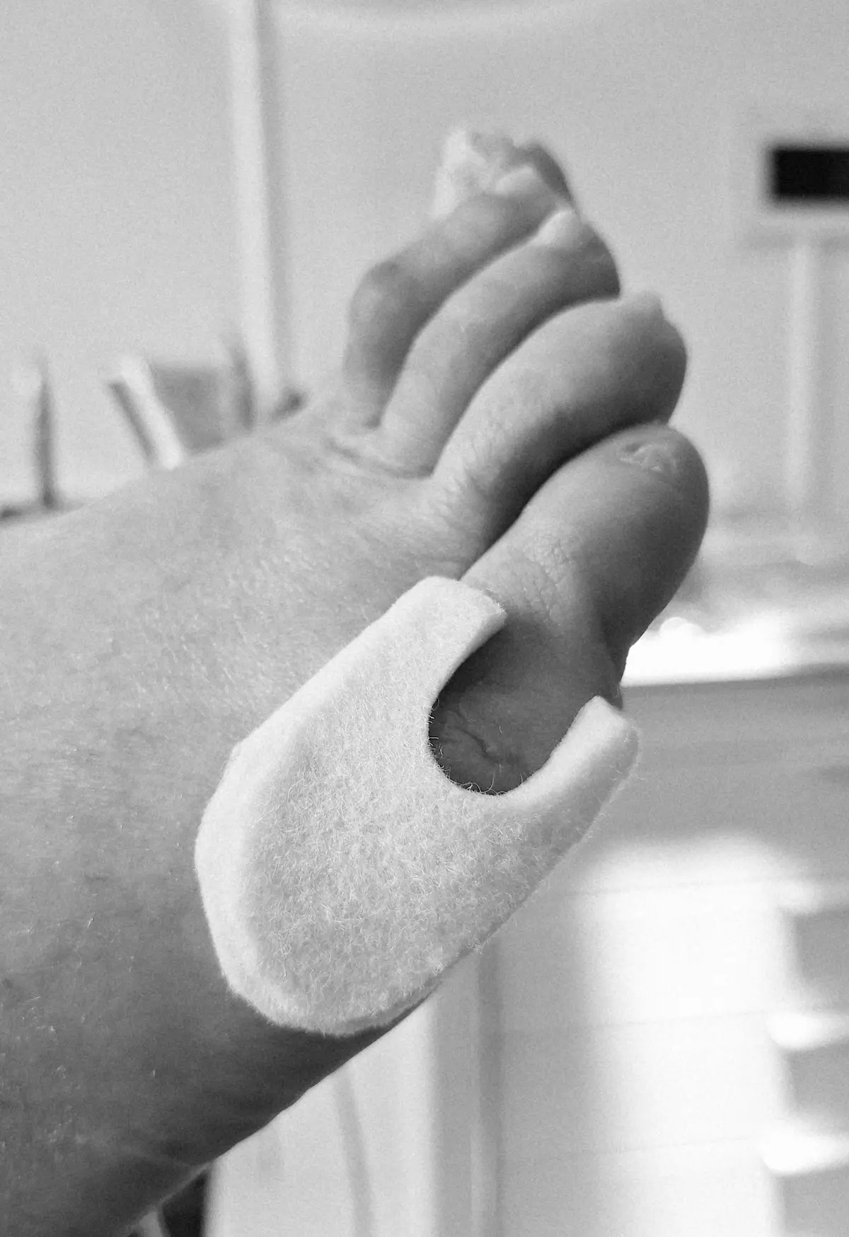 Vilttherapie
